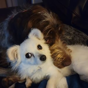 Meet your Posher, Cheryl